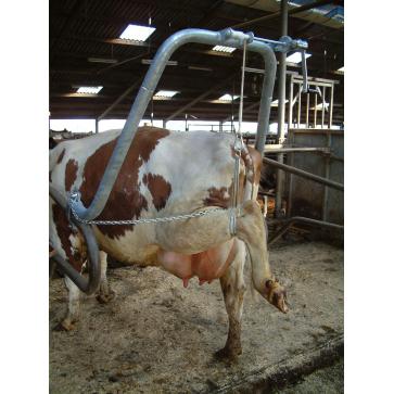Vink Hoofcare Frame for Cattle